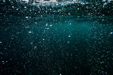 underwater enviroment
