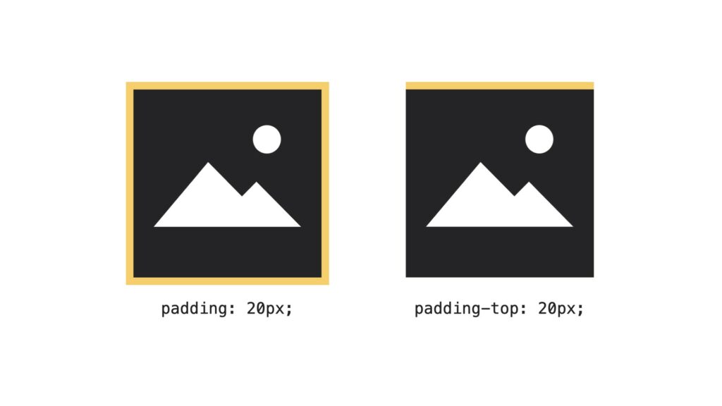 CSS basics padding