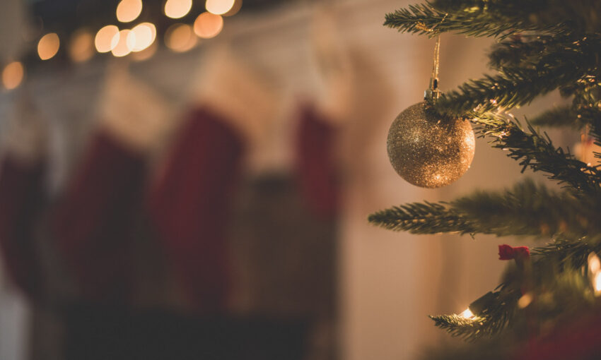 This Week In Web Design - December 3, 2021