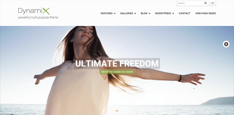 2015_06_25_10_16_46_DynamiX_powerful_multi_purpose_theme